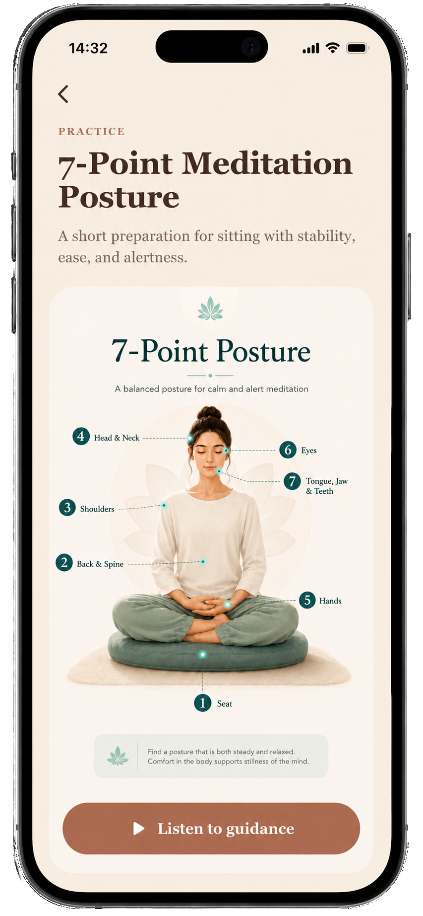 Meditators Tonglen session screen